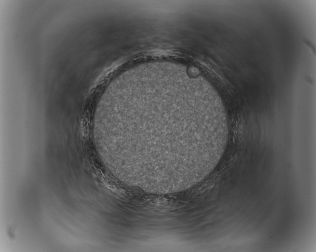 X0000100421207200806271459