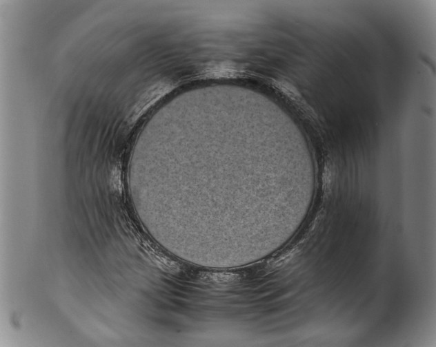 X0000100421209200806271459