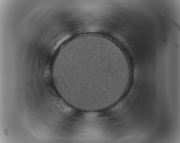 X0000100421210200806271459