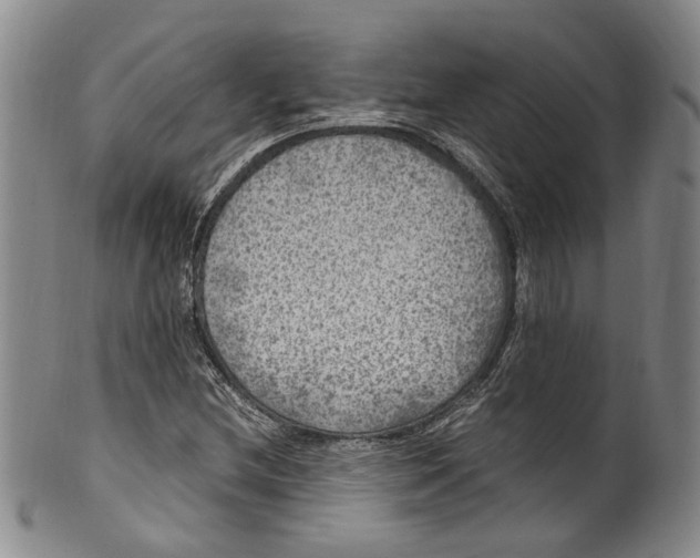 X0000100421212200806271459