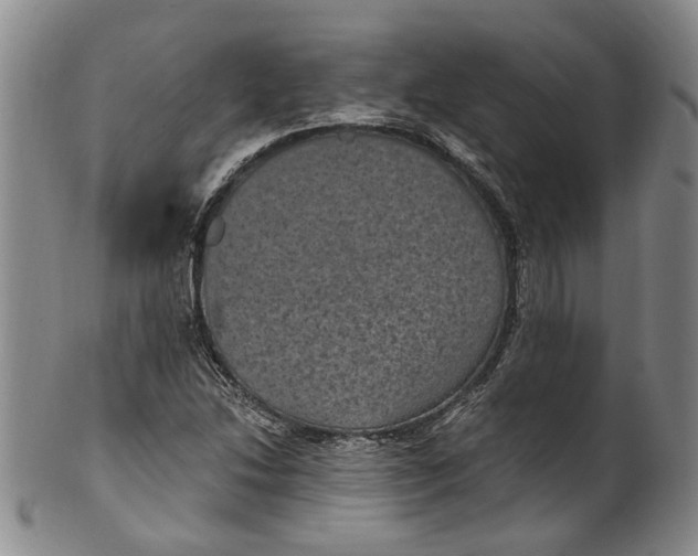 X0000100421214200806271459