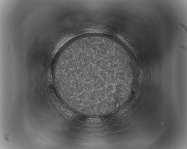 X0000100421215200806271459