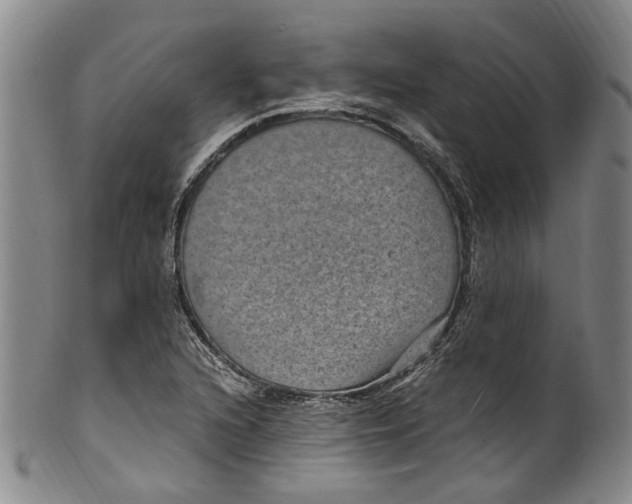 X0000100421216200806271459