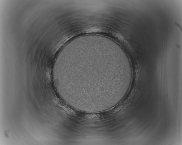 X0000100421217200806271459