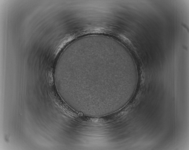 X0000100421218200806271459