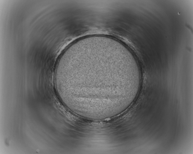 X0000100421220200806271459