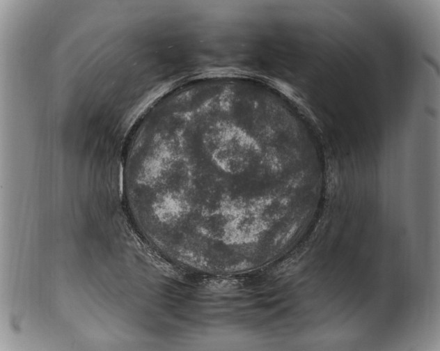 X0000100421221200806271459