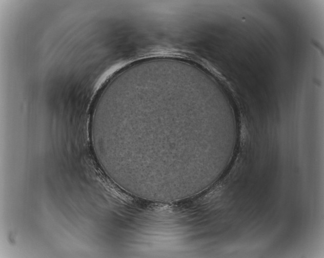 X0000100421222200806271459