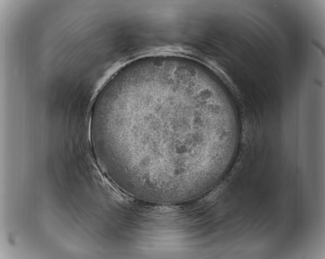 X0000100421224200806271459