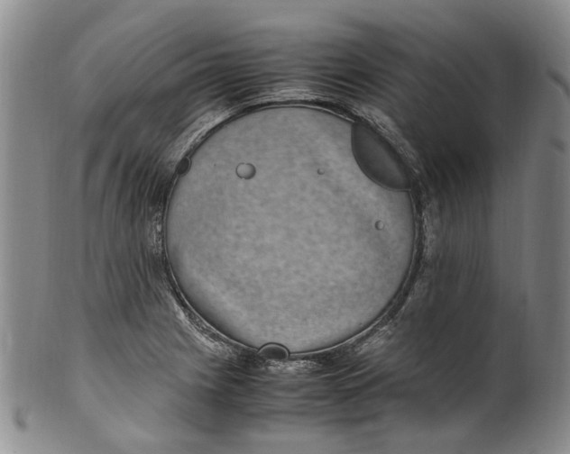 X0000100421225200806271459