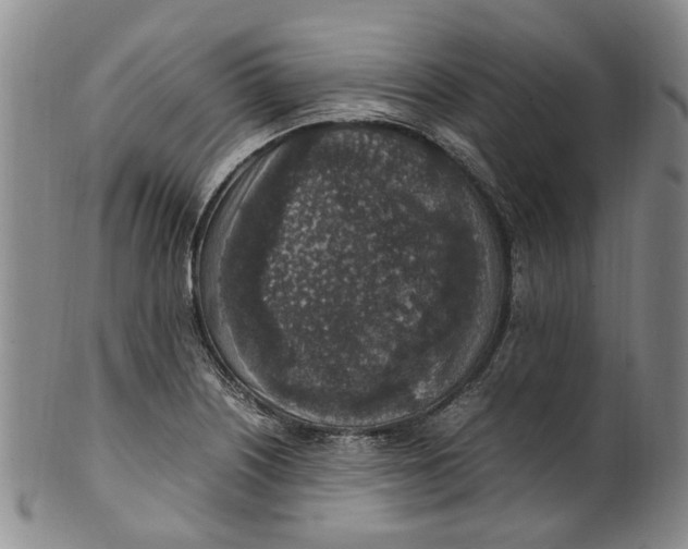 X0000100421226200806271459