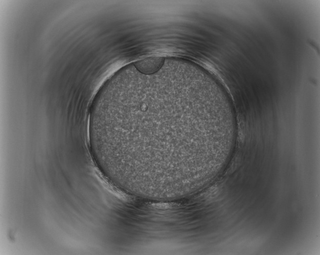 X0000100421227200806271459