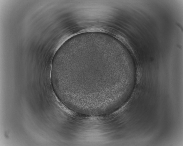 X0000100421228200806271459