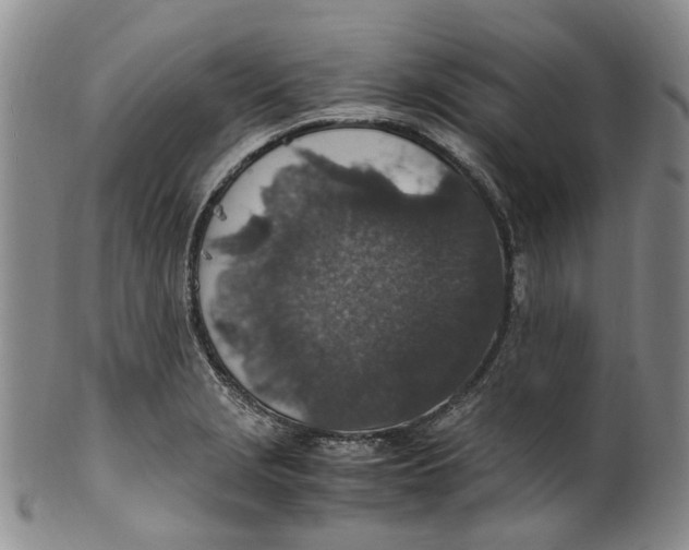 X0000100421229200806271459
