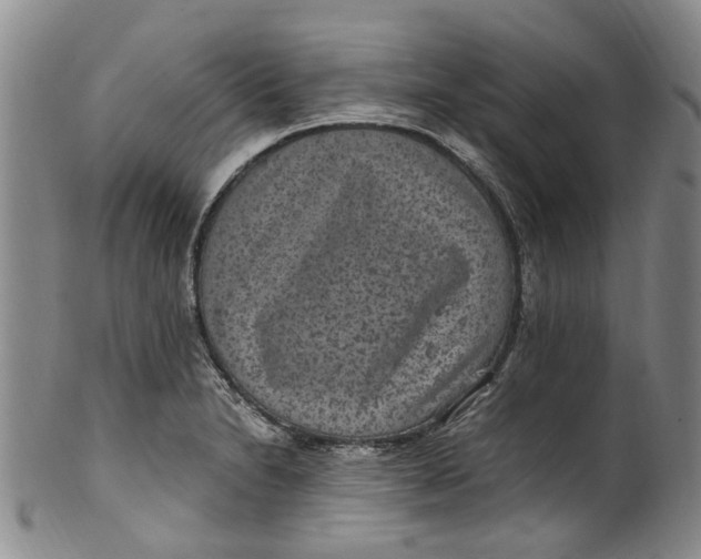 X0000100421230200806271459