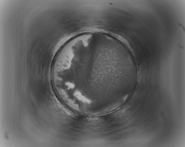 X0000100421231200806271459
