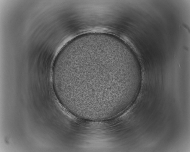 X0000100421232200806271459