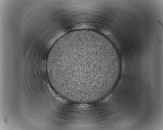 X0000100421233200806271459