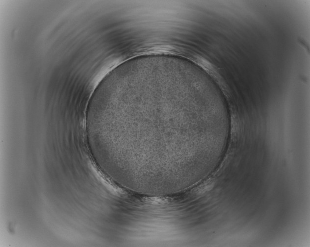 X0000100421234200806271459