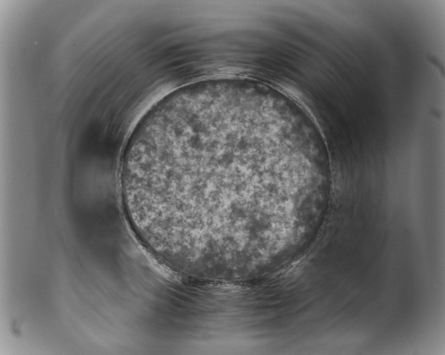 X0000100421235200806271459