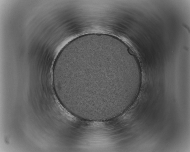 X0000100421238200806271459