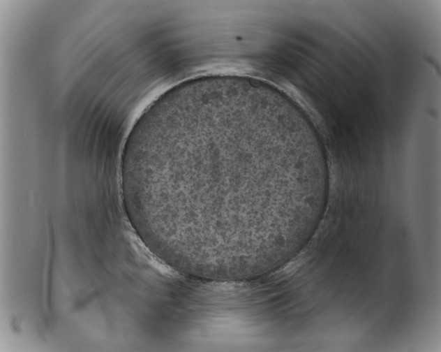 X0000100421240200806271459