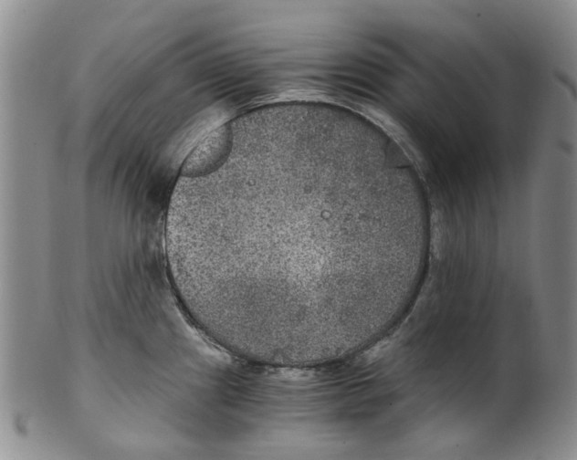 X0000100421241200806271459