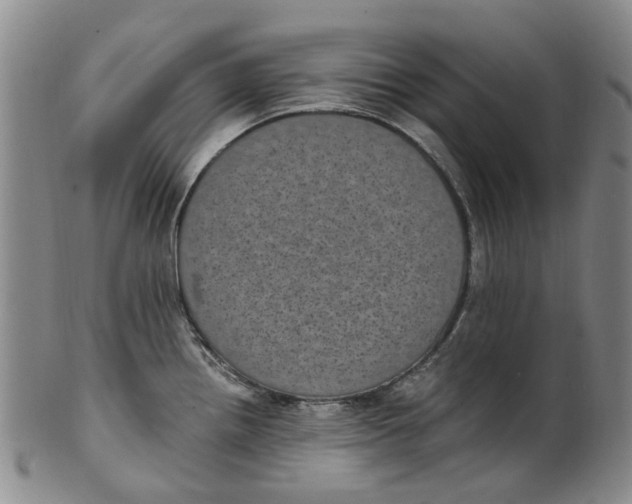 X0000100421242200806271459