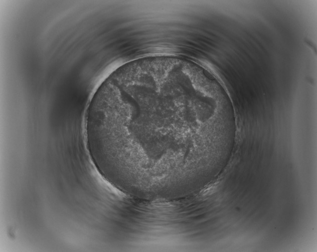 X0000100421243200806271459