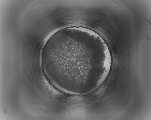 X0000100421246200806271500