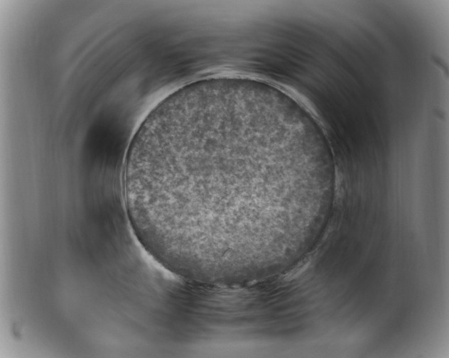 X0000100421247200806271500