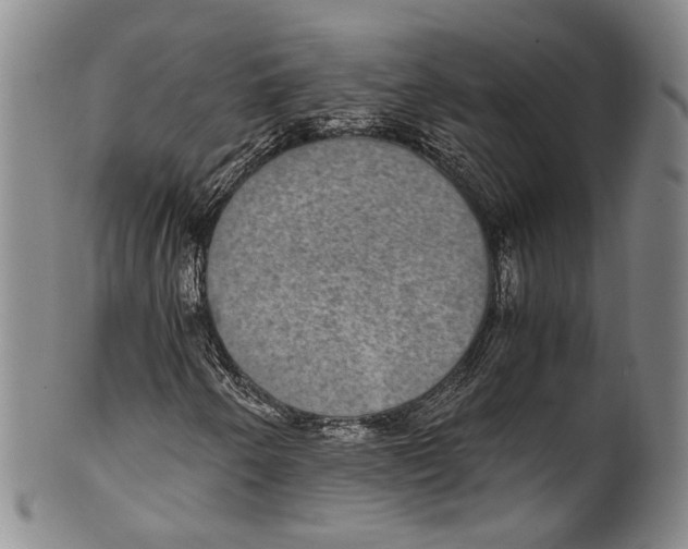 X0000100421250200806271459