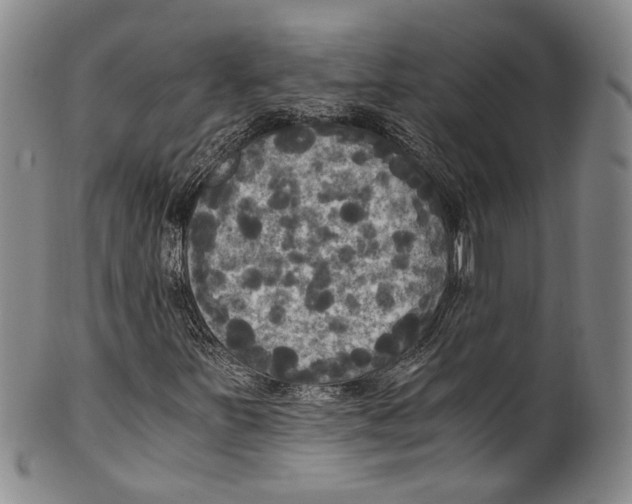 X0000100421251200806271459