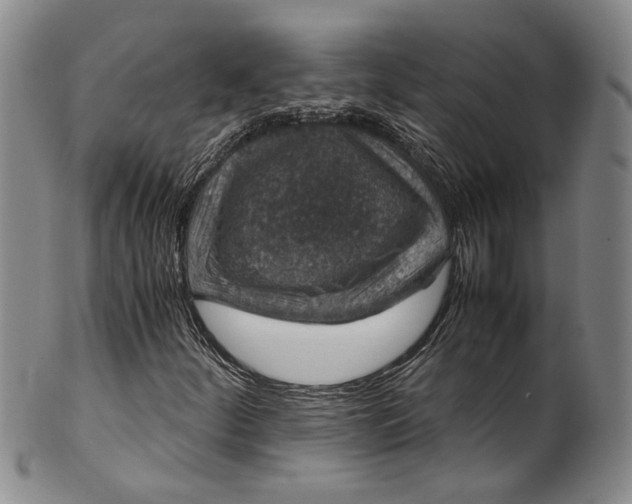 X0000100421252200806271459