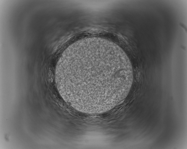 X0000100421253200806271459