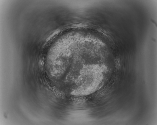 X0000100421254200806271459