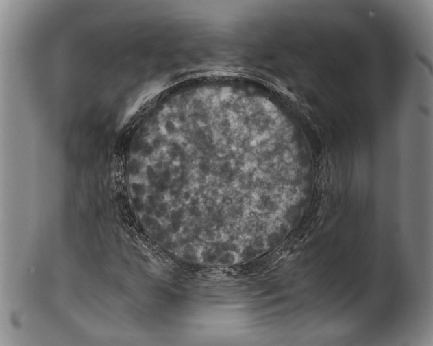 X0000100421255200806271459