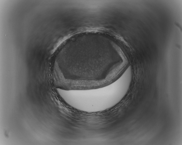 X0000100421256200806271459