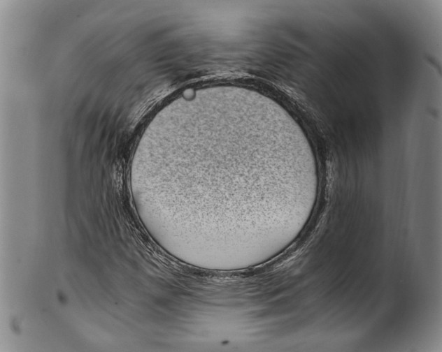 X0000100421257200806271459