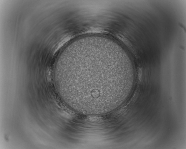 X0000100421258200806271459