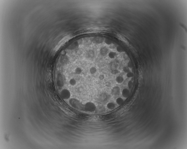 X0000100421259200806271459