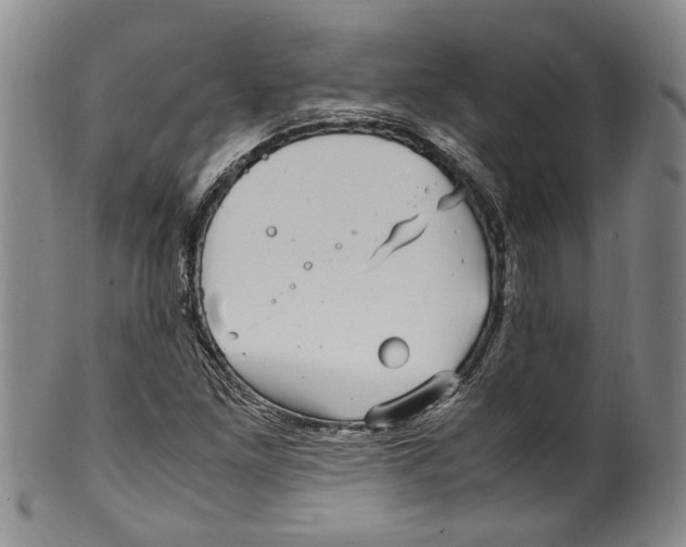 X0000100421261200806271459