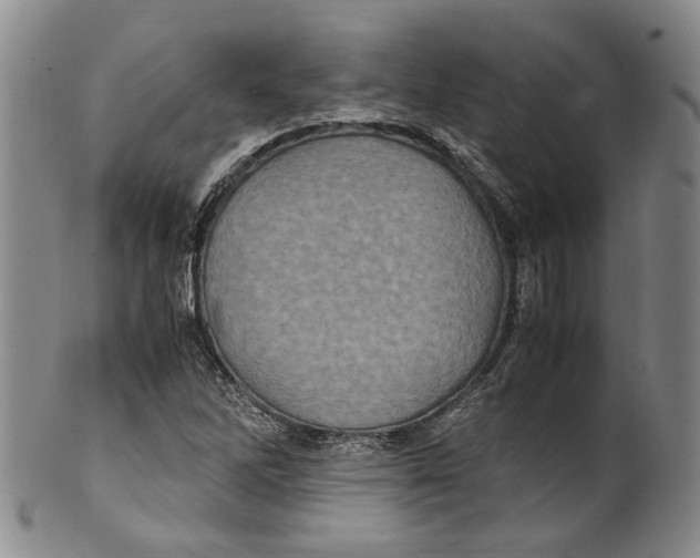X0000100421262200806271459