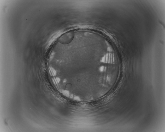 X0000100421263200806271459