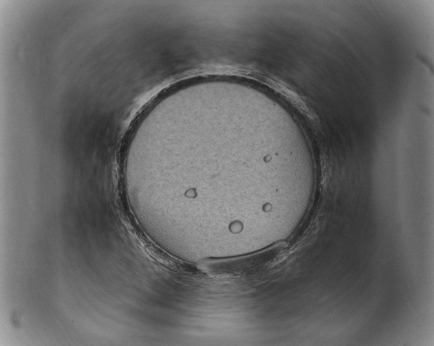 X0000100421264200806271459