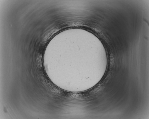 X0000100421265200806271459