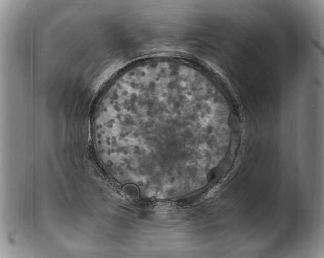 X0000100421267200806271458