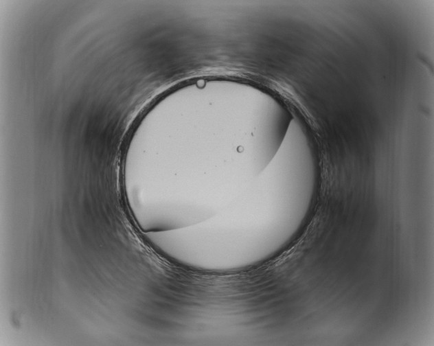 X0000100421268200806271458