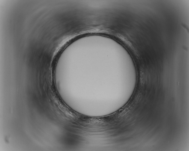 X0000100421270200806271458