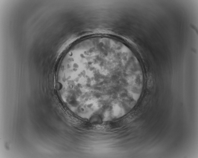 X0000100421271200806271458